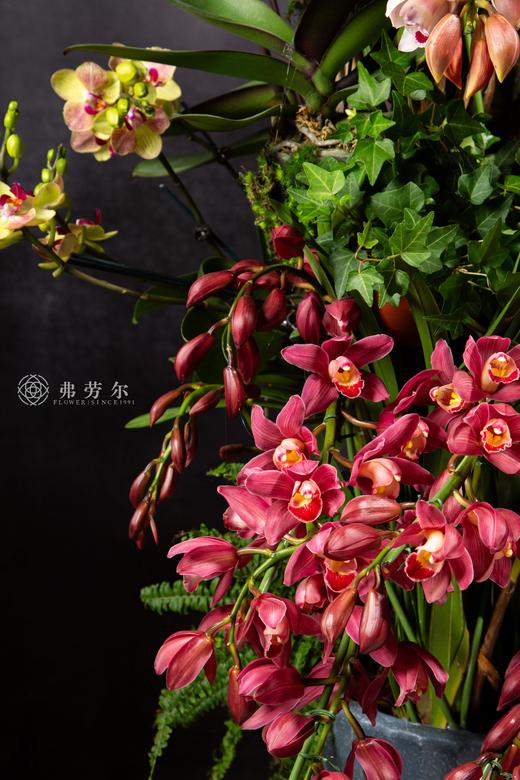 灵蛇春有信 商品图3