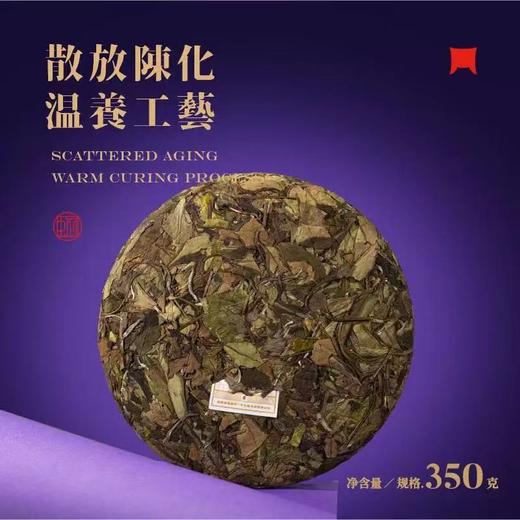一叶九鼎 | 2025年蛇年有得 蛇年生肖茶老白茶纪念饼350g 商品图2