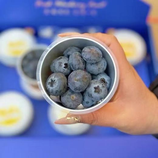 云南脆甜蓝莓 颗粒饱满 新鲜果粉足 自带花香 商品图3