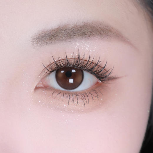 Sondercon日抛-T06黄油小熊 商品图14