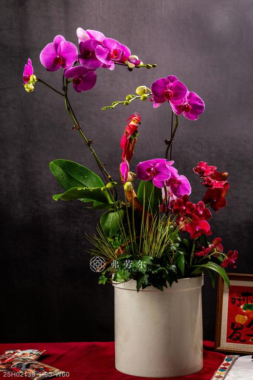 蛇跃新岁 商品图0