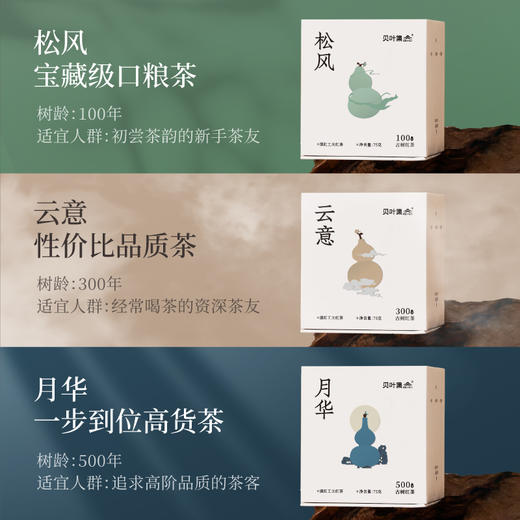 贝叶集红茶百年古树红茶系列蜜甜香月华高端茶叶伴手茶礼 商品图5