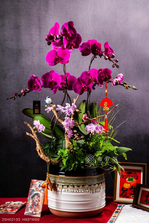 福蛇迎祥 商品图0