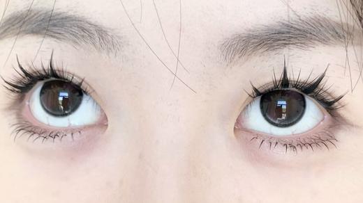 Sondercon日抛-T07害羞兔兔 商品图12