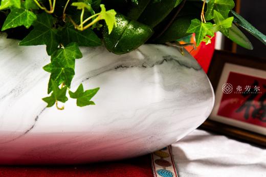 蛇光璀璨 商品图3