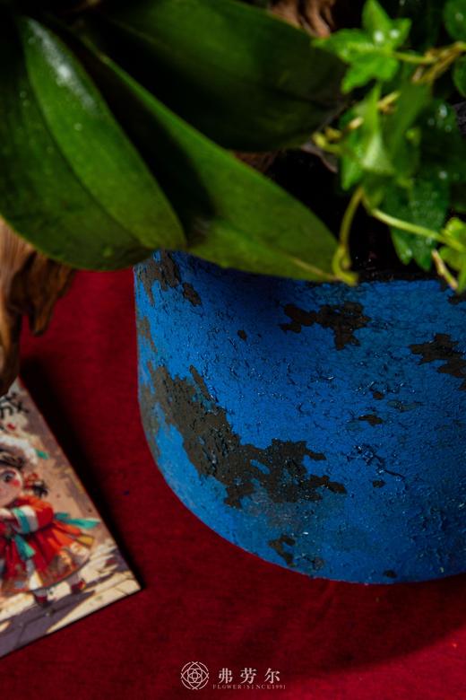 灵蛇纳福 商品图3