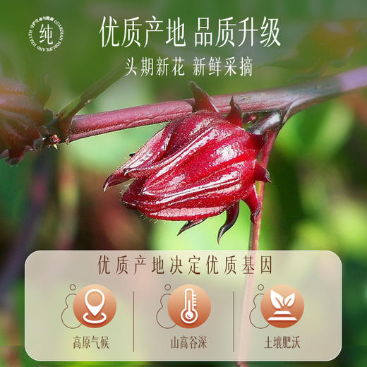 【官方正品】云南白药有这一方玫瑰茄100g新货洛神花冷泡茶果茶养生茶泡水 商品图3