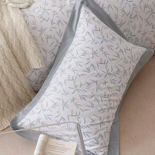 【春上新】10楼恐龙  全棉生态印花四件套 夏槿/200*230cm   吊牌价1680元   活动价399元 商品图2