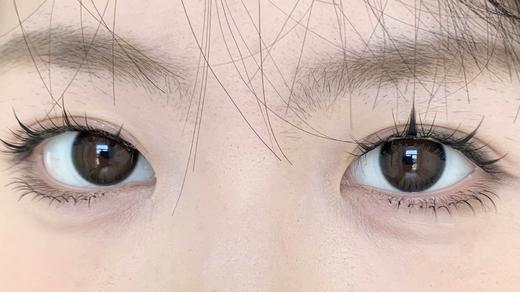 Sondercon日抛-T02纯野黑 商品图1