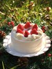 【经典草莓蛋糕】简简单单，让草莓蛋糕回归草莓蛋糕 商品缩略图3