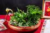 25年 年宵花 组合植物--水仙 商品缩略图0