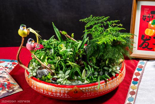 25年 年宵花 组合植物--水仙 商品图0