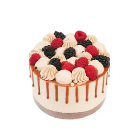 浆果巧克力蛋糕