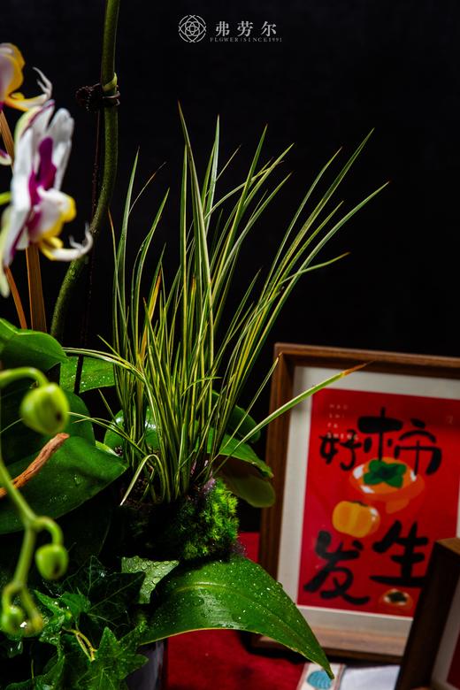 画蛇添福 商品图2