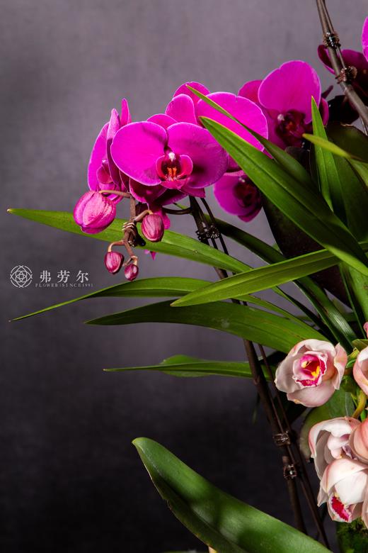 灵蛇春有信 商品图2