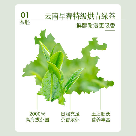 澜沧古茶2024年茶妈妈茉莉花茶特级绿茶早春茶窨制花香单罐 商品图1