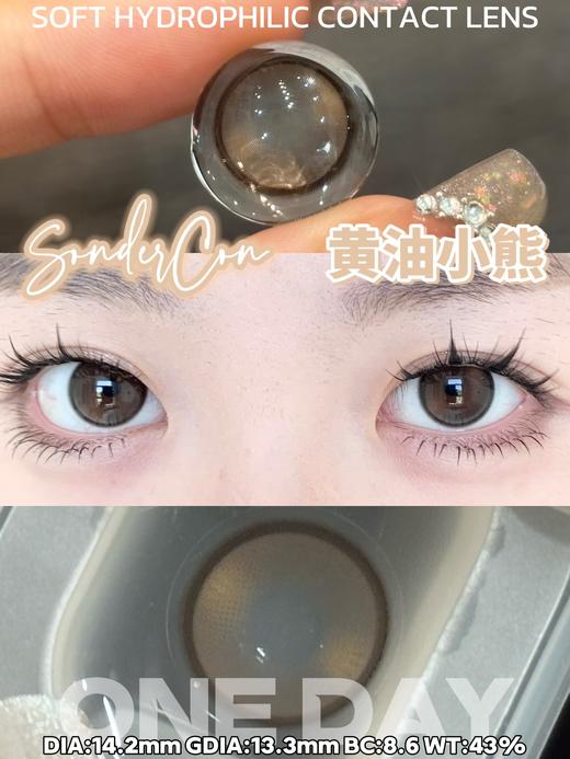 Sondercon日抛-T06黄油小熊 商品图4