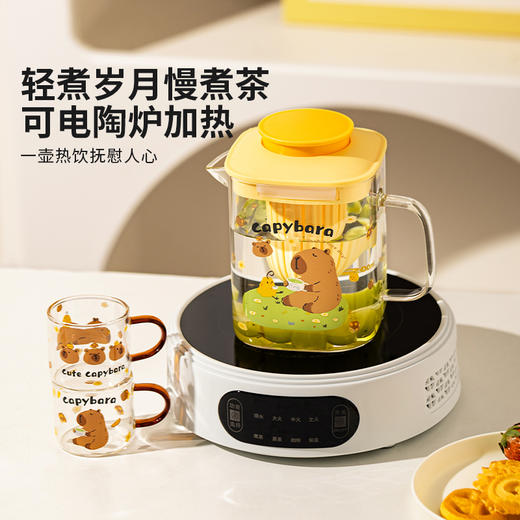 摩登主妇卡皮巴拉冷水壶玻璃耐高温家用凉水壶高颜值冷泡壶凉水杯 商品图4