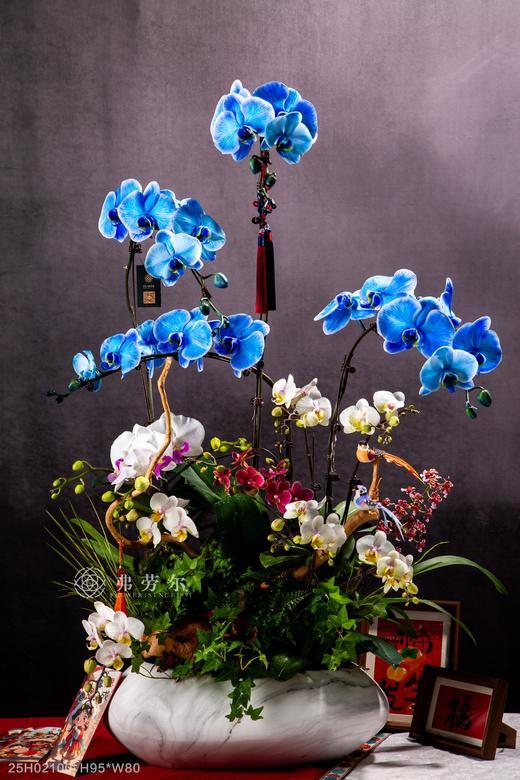 蛇光璀璨 商品图0