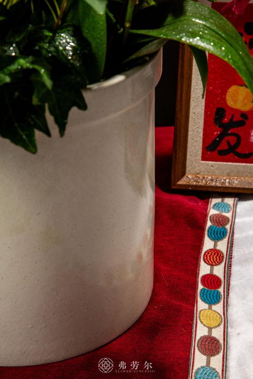 蛇跃新岁 商品图4