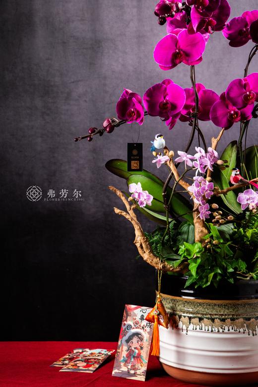 福蛇迎祥 商品图2