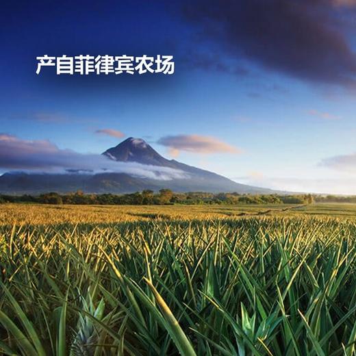 MM 山姆 鲜切菠萝 730g 商品图2