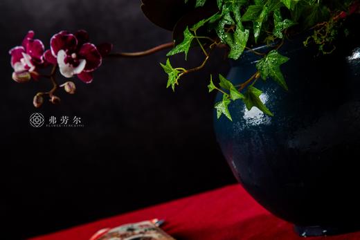 燃梦灵蛇 商品图2