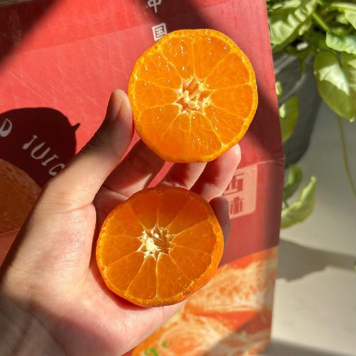 石家庄优选仓库速达， 金秋砂糖橘，皮薄肉嫩，果肉爽脆，果香浓郁，净重9斤礼盒装 商品图2