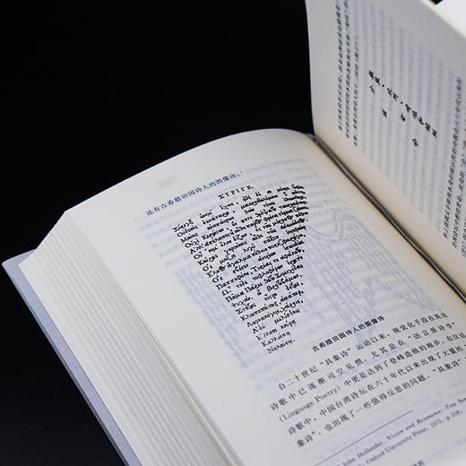 “声”的重构 : 新诗节奏研究   李章斌 著 商品图4