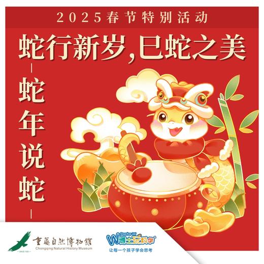 重庆自然博物馆【蛇年说蛇】蛇行新岁 巳蛇之美 商品图0