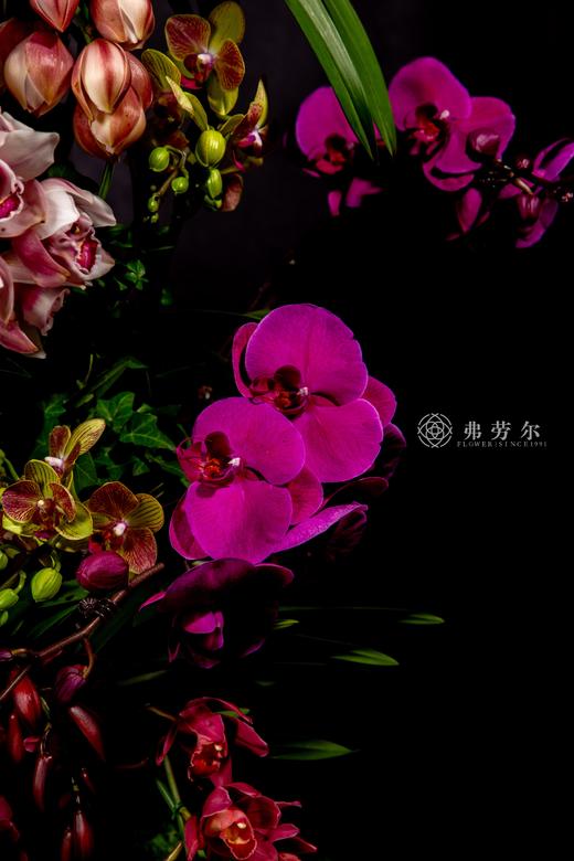 灵蛇春有信 商品图4