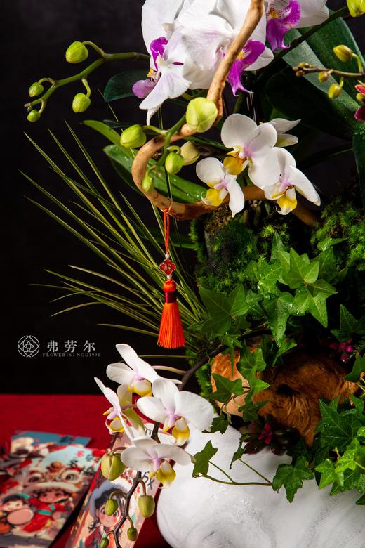 蛇光璀璨 商品图1