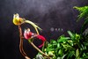 25年 年宵花 组合植物--水仙 商品缩略图4