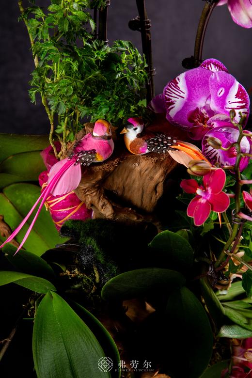 蛇跃星空 商品图3