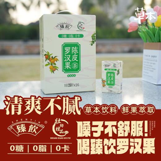 壮乡桂品 罗汉果陈皮茶250ml*16盒/件 商品图1