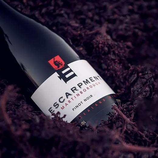 WE百大酒款！高水准口碑之作 爱斯卡门黑皮诺干红 Escarpment Pinot Noir 2022 商品图1