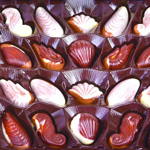 比利时可尼斯贝壳巧克力195g 商品图4