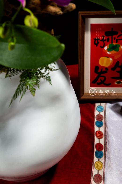 蛇腾万里 商品图3