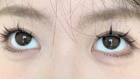 Sondercon日抛-T02纯野黑