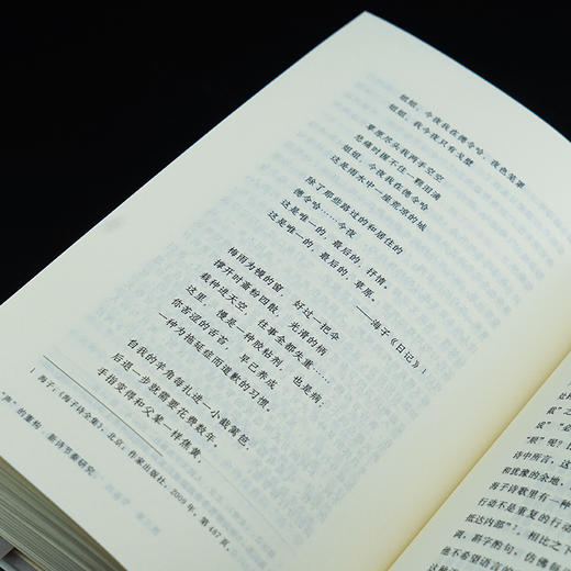 “声”的重构 : 新诗节奏研究   李章斌 著 商品图6