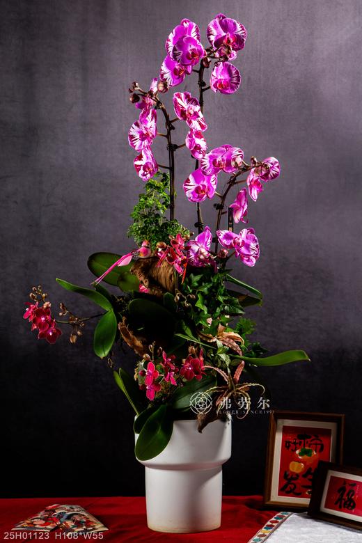 蛇跃星空 商品图0