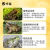 华畜蛙用电解多维水产养殖蛙类专用VC维生素饲料添加剂牛蛙林蛙 商品缩略图3