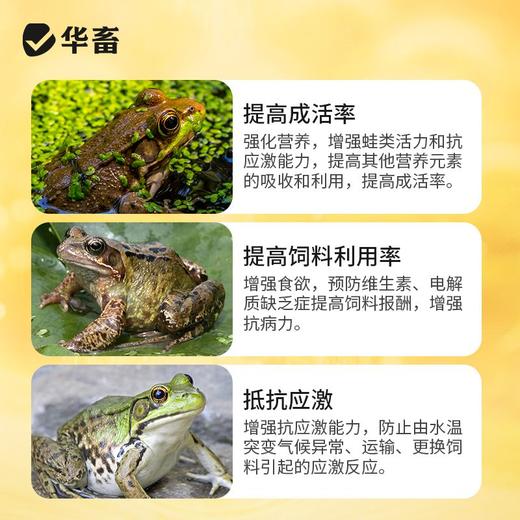 华畜蛙用电解多维水产养殖蛙类专用VC维生素饲料添加剂牛蛙林蛙 商品图3