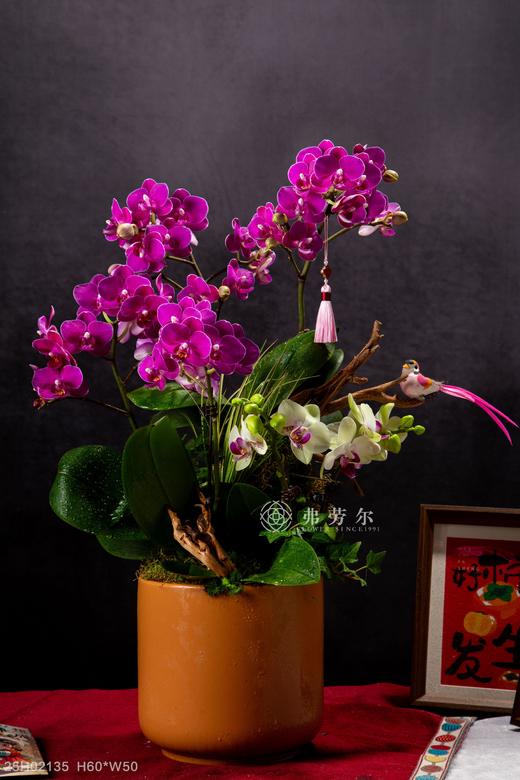 福蛇盈门 商品图0