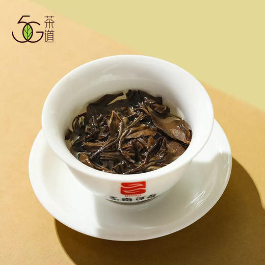福鼎白茶 | 东南多奇2019年老树寿眉 500g/盒 商品图3