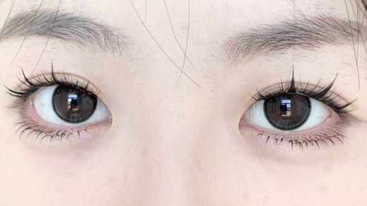 Sondercon日抛-T07害羞兔兔 商品图11