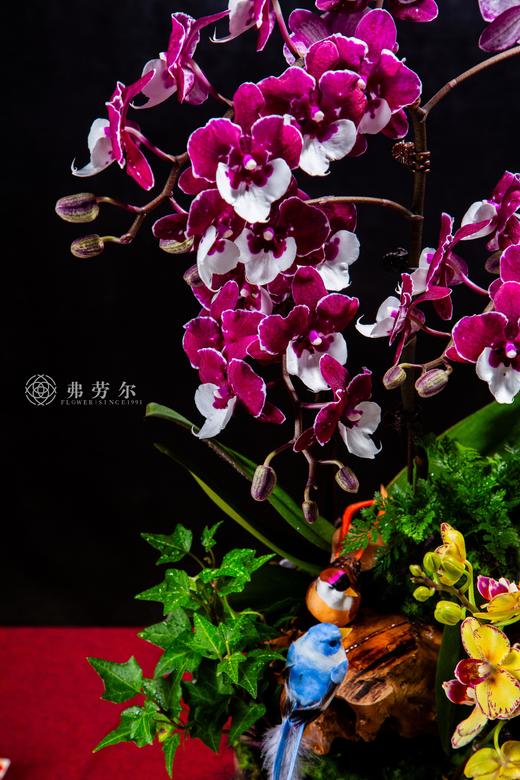 蛇绘新篇 商品图1