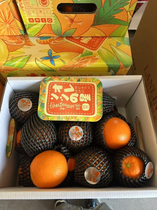 蜜橙星球（8斤左右） 商品图1