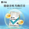 华畜蛙用电解多维水产养殖蛙类专用VC维生素饲料添加剂牛蛙林蛙 商品缩略图2