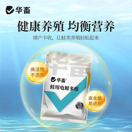 华畜蛙用电解多维水产养殖蛙类专用VC维生素饲料添加剂牛蛙林蛙 商品图2